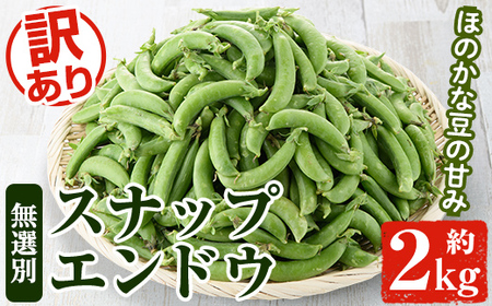 訳あり!鹿児島県産 スナップエンドウ(約2kg) 国産 野菜 スナップエンドウ スナップえんどう おつまみ サラダ 炒め物 訳アリ サイズ混合【松永青果】akn053-07