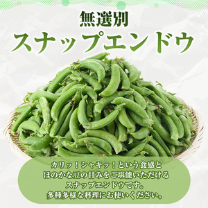 訳あり＞鹿児島県産 スナップエンドウ(約2.5kg) 国産 野菜 スナップ