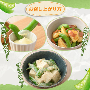 訳あり!鹿児島県産 スナップエンドウ(約2kg) 国産 野菜 スナップエンドウ スナップえんどう おつまみ サラダ 炒め物 訳アリ サイズ混合【松永青果】akn053-07