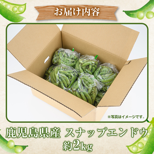 訳あり!鹿児島県産 スナップエンドウ(約2kg) 国産 野菜 スナップエンドウ スナップえんどう おつまみ サラダ 炒め物 訳アリ サイズ混合【松永青果】akn053-07