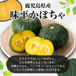 鹿児島県産 味平かぼちゃ(約10kg) 国産 野菜 かぼちゃ カボチャ 南瓜 煮物 天ぷら バーベキュー BBQ スイーツ お菓子【松永青果】a-28-9