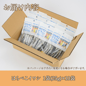 はらぺこイワシ10袋セット(25g×10袋)海産物 いわし 鰯 おつまみ おかず【下園薩男商店】akn086-12