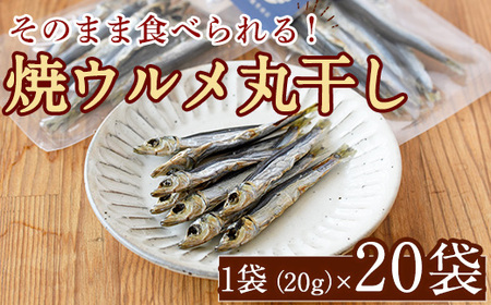 焼ウルメ丸干し20袋セット(20g×20袋)海産物 いわし 鰯 ウルメイワシ おつまみ おかず【下園薩男商店】akn086-14 12,160円