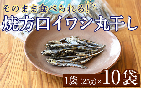 焼片口イワシ丸干し10袋セット(25g×10袋)海産物 いわし 鰯 おつまみ おかず【下園薩男商店】a-16-40 鹿児島県阿久根市  ふるさと納税サイト「ふるなび」