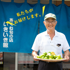 ＜先行予約受付中！2024年12月以降順次発送予定＞数量限定！ポンカン(約8kg）国産 ポンカン 柑橘 果物 フルーツ デザート 果実【あくね旬の店いきいき館】a-12-293-z