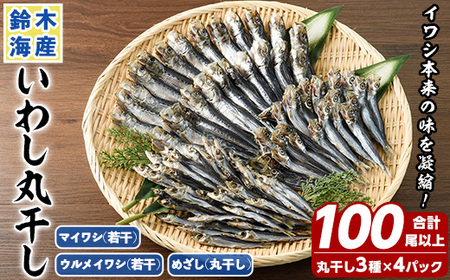 数量限定！イワシ丸干し3点セット(合計100尾以上) 国産 鹿児島県産 阿久根市産 魚 魚介 水産 いわし 鰯 ウルメイワシ うるめいわし めざし マイワシ まいわし 食べ比べ セット 詰め合わせ【鈴木海産】akn091-01
