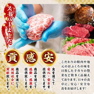 ＜訳あり定期便・全5回＞人気のお惣菜定期便 国産 牛肉 ササミ 鶏肉 とり肉 おかず 惣菜 真空冷凍 揚げ物 ギョウザ ぎょうざ お肉 から揚げ ハンバーグ 鶏料理 冷凍 真空パック【スーパーよしだ】a-65-5