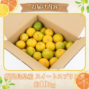 訳ありスイートスプリング(約10kg) 鹿児島県 阿久根市 フルーツ 果物 デザート 柑橘 甘味 果肉 果汁【松永青果】akn053-11