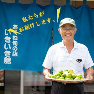 ＜先行予約受付中！2025年1月以降順次発送予定＞郷土の味「こっぱ餅」(計16個・4個入り×4パック) 餅 お餅 おもち モチ サツマイモ さつまいも さつま芋 菓子 おやつ お菓子 お茶請け 間食 いももち【あくね旬の店いきいき館】a-10-14