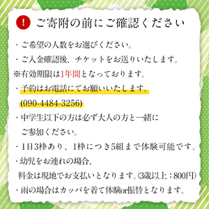 ＜選べる人数＞とうもろこし収穫体験チケット 中学生以上1名( 45分食べ放題 とうもろこしのお土産付き ) 国産 トウモロコシ 玉蜀黍 ホワイト コーン 野菜 糖度 夏 イネ科 収穫体験 チケット【うとさんち】a-8-13