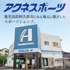 ＼メジャーリーガーも愛用するWilson社グローブ！／＜軟式＞Wilson 軟式フルオーダーグローブ(一式) 阿久根市 特産品 スポーツ グラブ オーダー 野球 職人 オーダーメイド 子ども【アクネスポーツ】akn021-04