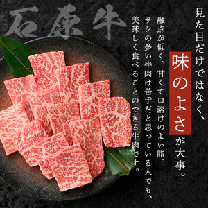 石原牛 赤身モモ 焼肉用(300g) 黒毛和牛 国産 九州産 鹿児島県産 牛肉 ブランド牛 焼肉 BBQ ヘルシー 和牛 赤身 モモ肉 健康志向 冷凍 贅沢 贅沢な一品 贈答用 ギフト用 【株式会社石原PRO】a-22-10-z