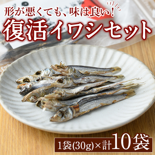 復活イワシ(10パック) おやつ お菓子 いわし イワシ 鰯 ウルメイワシ 丸干し カルシウム セット 詰め合わせ【下園薩男商店】akn086-05