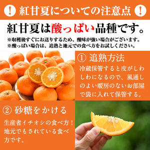 紅甘夏(約10kg) 国産 鹿児島県 阿久根市 果実 果物 フルーツ 柑橘