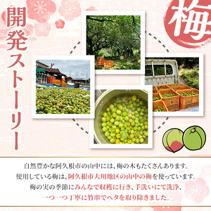 ＜数量限定＞梅酒「MOJOKA」(23度・500ml) 本格梅酒 お酒 アルコール 甕熟成 ボトル ロック ソーダ割り お湯割り もじょか【大石酒造】akn038-06