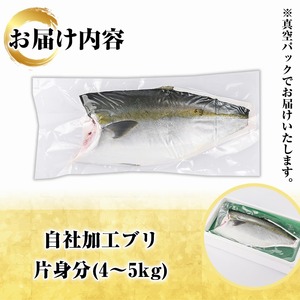 鮮度抜群！自社加工ブリ(片身分・4～5kg) ブリ 鰤 魚貝 魚介 海産物 刺身 焼き魚 煮つけ 真空パック【さるがく水産】a-32-6-z