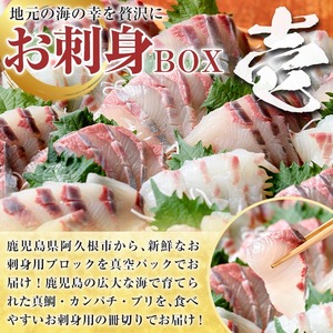 <定期便・全3回>海の幸満喫定期便 魚貝 魚介 海産物 旬 お魚 冷蔵 刺身 真鯛 タイ カンパチ ブリ 鰤 鮮魚 焼き魚 たこ ゆでだこ タコ 蛸 煮つけ 定期便 詰め合わせ セット お楽しみ 海の幸【さるがく水産】akn028-32