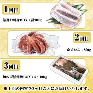 <定期便・全3回>海の幸満喫定期便 魚貝 魚介 海産物 旬 お魚 冷蔵 刺身 真鯛 タイ カンパチ ブリ 鰤 鮮魚 焼き魚 たこ ゆでだこ タコ 蛸 煮つけ 定期便 詰め合わせ セット お楽しみ 海の幸【さるがく水産】akn028-32