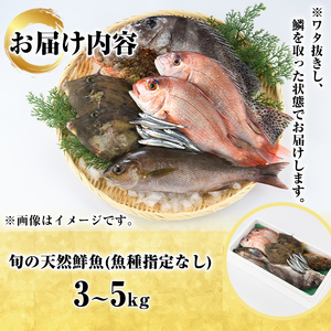 旬の天然鮮魚BOX(3~5kg) 国産 刺身 魚貝 魚介 鮮魚 海産物 天然物 煮つけ 焼き魚【さるがく水産】akn028-30