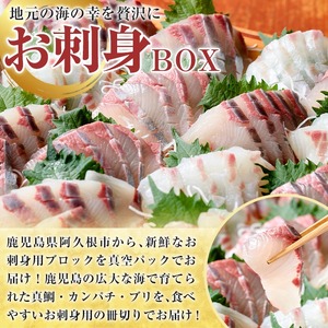 厳選お刺身BOX(4～6人前) 国産 お刺身 魚貝 魚介 鯛 カンパチ ブリ 海産物 刺身 おつまみ セット 【さるがく水産】a-20-28-z