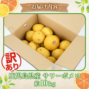<先行予約受付中!2026年1月以降順次発送予定>訳ありサワーポメロ(約10kg) 国産 果物 フルーツ 柑橘 甘味 酸味 デザート おやつ【松永青果】akn053-16