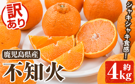 ＜先行予約受付中！2026年2月以降順次発送予定＞訳あり不知火(約4kg) 国産 鹿児島県産 果物 フルーツ 柑橘 不知火【松永青果】akn053-17
