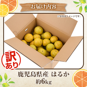 訳ありはるか(約6kg) 国産 鹿児島県産 果物 フルーツ 柑橘 みかん はるか【松永青果】akn053-40