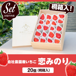 ＜先行予約受付中！2026年1月以降順次発送予定＞桐箱入！自社農園産いちご 恋みのり(計20個) 鹿児島 阿久根 自社農園 果物 フルーツ イチゴ いちご 苺 恋みのり 贈答用 ギフト 桐箱 デザート 期間限定【農園ガーデン空】akn026-11