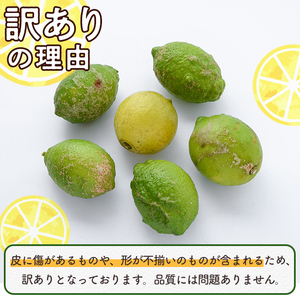 数量限定！有機JAS 訳ありオーガニックレモン(約5kg) 国産 訳あり レモン 檸檬 果実 果物 フルーツ 柑橘 デザート 期間限定 有機栽培 健康志向 【中村農場】akn084-02