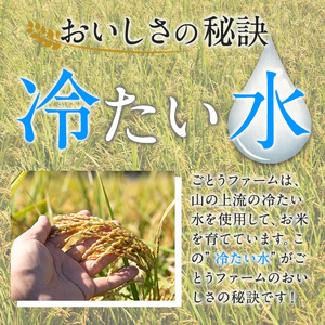 数量限定！ひのひかり(計6kg・3kg×2袋) 米 お米 白米 ひのひかり ヒノヒカリ おにぎり お弁当 ごはん ご飯【ごとうファーム】a-16-52-z