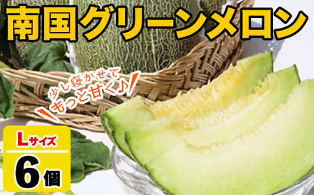 <先行予約受付中!2026年6月以降順次発送予定>鹿児島県産!南国グリーンメロン(Lサイズ×6個) メロン めろん 果物 スイーツ デザート フルーツ 【あくね旬の店いきいき館】akn015-20