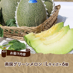 <先行予約受付中!2026年6月以降順次発送予定>鹿児島県産!南国グリーンメロン(Lサイズ×6個) メロン めろん 果物 スイーツ デザート フルーツ 【あくね旬の店いきいき館】akn015-20