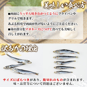 訳あり！真イワシ丸干し＜めざし＞(合計160尾以上・500g×2袋) 国産 鹿児島県産 阿久根市産 魚 魚介 水産 訳あり 訳アリ いわし 鰯 めざし マイワシ まいわし 真いわし 丸干し 丸干 チャック付き袋 【鈴木海産】akn091-02