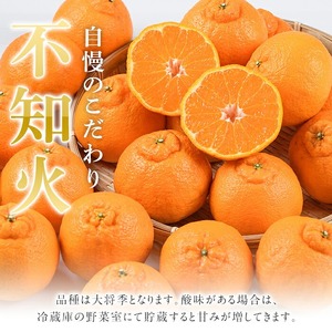 ＜先行予約受付中！2026年4月上旬以降順次発送予定＞数量限定！冷蔵不知火「クールな大将季」(計約3kg) 国産 みかん ミカン 柑橘 フルーツ 果物 旬 デザート 数量限定 阿久根市産 露地 しらぬい シラヌイ 冷蔵 期間限定 クール【三笠農業生産】akn051-06