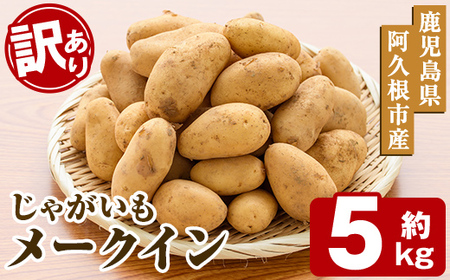 ＜先行予約受付中！2026年5月下旬以降順次発送予定＞訳あり！じゃがいも「メークイン」(約5kg) じゃがいも ジャガイモ 芋 国産 野菜 期間限定 数量限定【古田果樹園】akn093-01