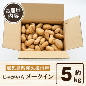 ＜先行予約受付中！2026年5月下旬以降順次発送予定＞訳あり！じゃがいも「メークイン」(約5kg) じゃがいも ジャガイモ 芋 国産 野菜 期間限定 数量限定【古田果樹園】akn093-01