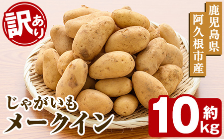 ＜先行予約受付中！2026年5月下旬以降順次発送予定＞訳あり！じゃがいも「メークイン」(約10kg) じゃがいも ジャガイモ 芋 国産 野菜 期間限定 数量限定【古田果樹園】akn093-02