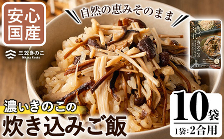 国産のえのきやきのこ使用！濃いきのこの炊き込みご飯の素(2合用×10袋) 国産 だし醤油 きのこご飯 椎茸 しいたけ 【三笠えのき茸生産組合】akn010-17