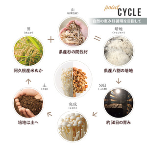 濃いえのき白(20袋・計600g) 国産 白えのき エノキ きのこ 茸 キノコ セット 個包装 【三笠えのき茸生産組合】akn010-21