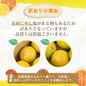 訳ありスイートスプリング(約15kg) 鹿児島県 阿久根市 フルーツ 果物 デザート 柑橘 甘味 果肉 果汁【松永青果】akn053-41