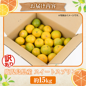 訳ありスイートスプリング(約15kg) 鹿児島県 阿久根市 フルーツ 果物 デザート 柑橘 甘味 果肉 果汁【松永青果】akn053-41
