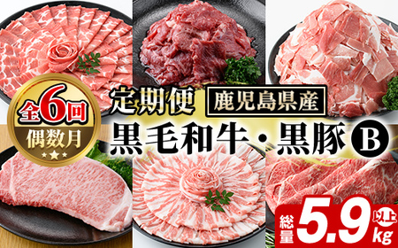 ＜定期便・全6回(偶数月)＞鹿児島県産 黒毛和牛・黒豚 定期便 B (総量5.9kg以上) 国産 鹿児島県産 黒豚 しゃぶしゃぶ 肩 ロース スライス 訳あり 切り落とし 黒毛和牛 サーロイン ステーキ 黒豚 バラ カタ ウデ 小分け セット 【スターゼン】akn042-37