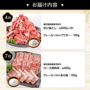 ＜定期便・全4回(4月・7月・10月・12月)＞岩塩付き！鹿児島県産 黒毛和牛満喫定期便 (総量2.3kg超) 国産 牛肉 モモ スライス サーロイン ステーキ 切り落とし ロース 焼肉 焼肉セット コラボ ピンク 岩塩 【スターゼン×梅研本舗ジャパン】akn501-05