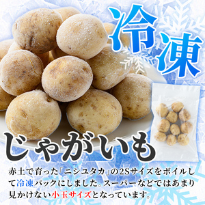冷凍じゃがいも (計2kg・250g×8袋) ジャガイモ ニシユタカ にしゆたか 冷凍 ボイル 小分け 小玉 小さめ フライ アヒージョ スープ カレー シチュー 簡単調理 お弁当 おかず 野菜 赤土 【有限会社やまた水産食品】akn036-05