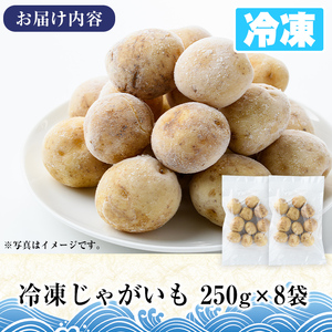 冷凍じゃがいも (計2kg・250g×8袋) ジャガイモ ニシユタカ にしゆたか 冷凍 ボイル 小分け 小玉 小さめ フライ アヒージョ スープ カレー シチュー 簡単調理 お弁当 おかず 野菜 赤土 【有限会社やまた水産食品】akn036-05