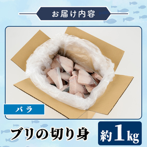 ブリの切り身(バラ・約1kg) 国産 鹿児島県産 ブリ 鰤 魚貝 魚介 海産物 焼き魚 煮つけ ブリカツ バラ 【株式会社島水】akn102-01
