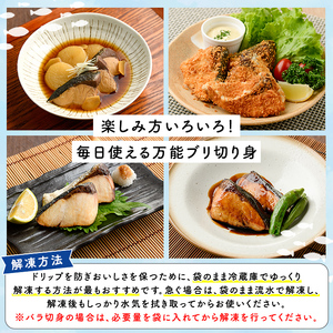 ブリの切り身(真空パック・約1kg) 国産 鹿児島県産 ブリ 鰤 魚貝 魚介 海産物 焼き魚 煮つけ ブリカツ 真空 【株式会社島水】akn102-03