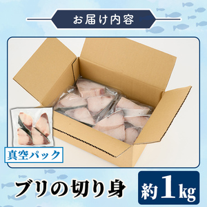 ブリの切り身(真空パック・約1kg) 国産 鹿児島県産 ブリ 鰤 魚貝 魚介 海産物 焼き魚 煮つけ ブリカツ 真空 【株式会社島水】akn102-03