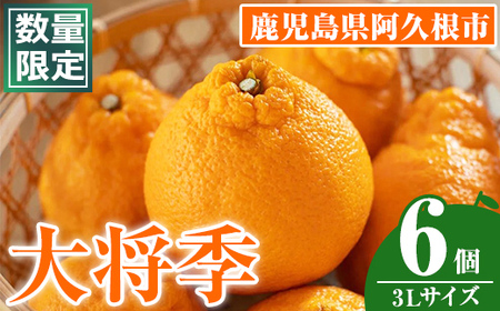 <先行予約受付中!2026年1月中旬以降順次発送予定>数量限定!大将季 (6個・3Lサイズ) 柑橘 フルーツ 果物 国産 みかん 期間限定 不知火 しらぬい シラヌイ ミカン 【株式会社イロドリ】akn069-07