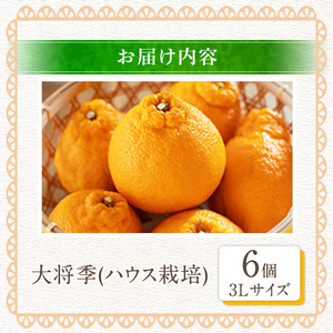 <先行予約受付中!2026年1月中旬以降順次発送予定>数量限定!大将季 (6個・3Lサイズ) 柑橘 フルーツ 果物 国産 みかん 期間限定 不知火 しらぬい シラヌイ ミカン 【株式会社イロドリ】akn069-07
